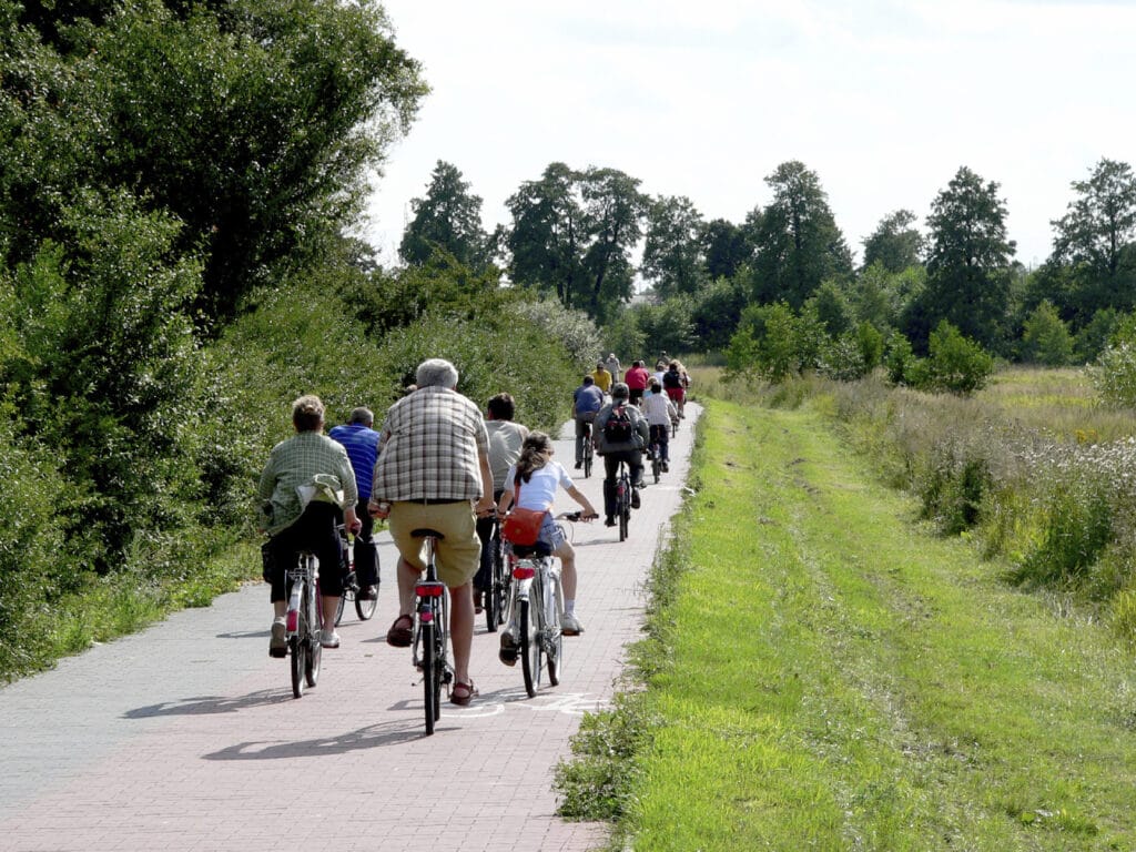 Group of adults and children riding along a cycle path